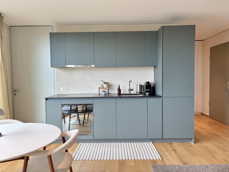 Zentrale, Stilvolle, Neubau-Wohnung (1)