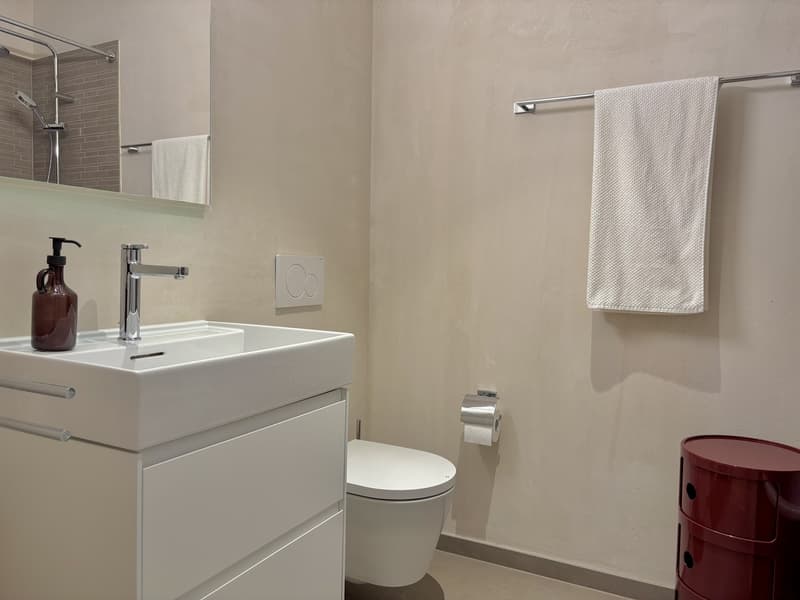 Zentrale, Stilvolle, Neubau-Wohnung (3)
