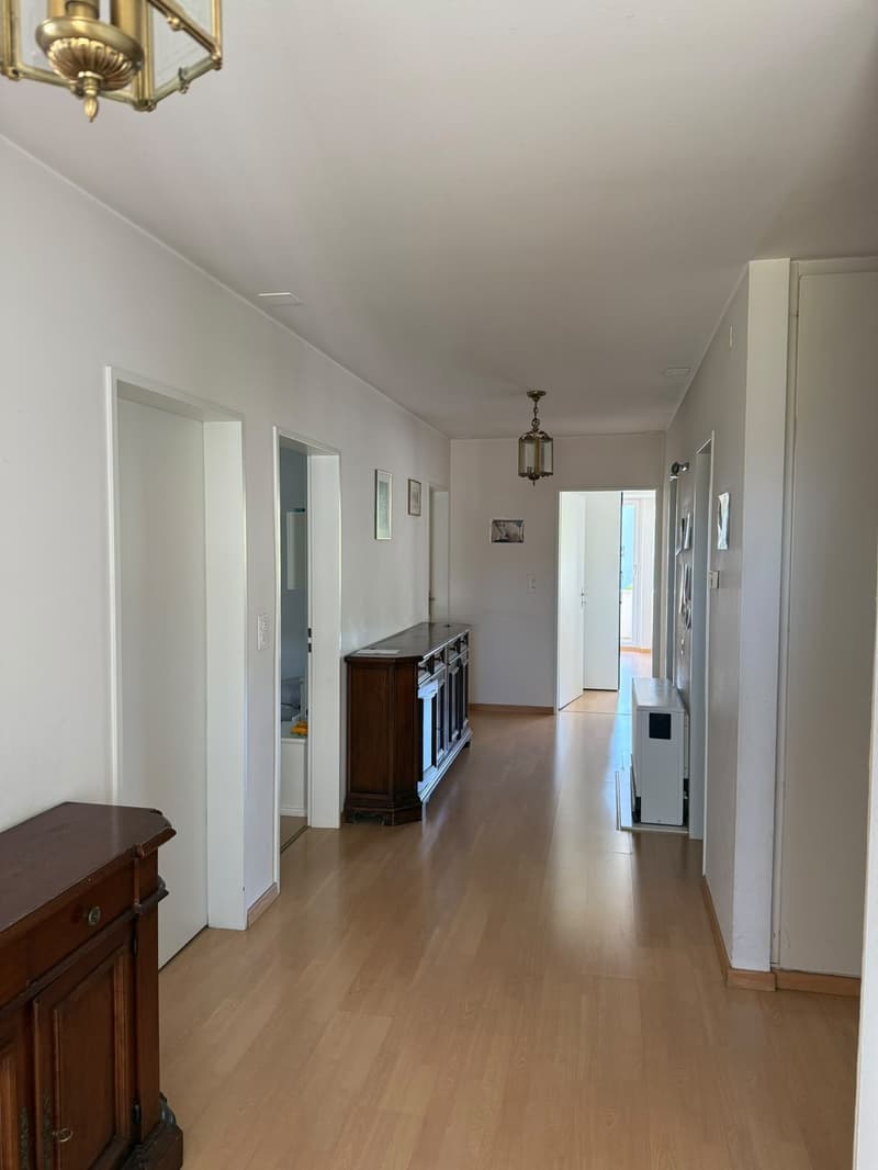 Big Furnished Room in WG in Thalwil (9 mins to HB) (4)
