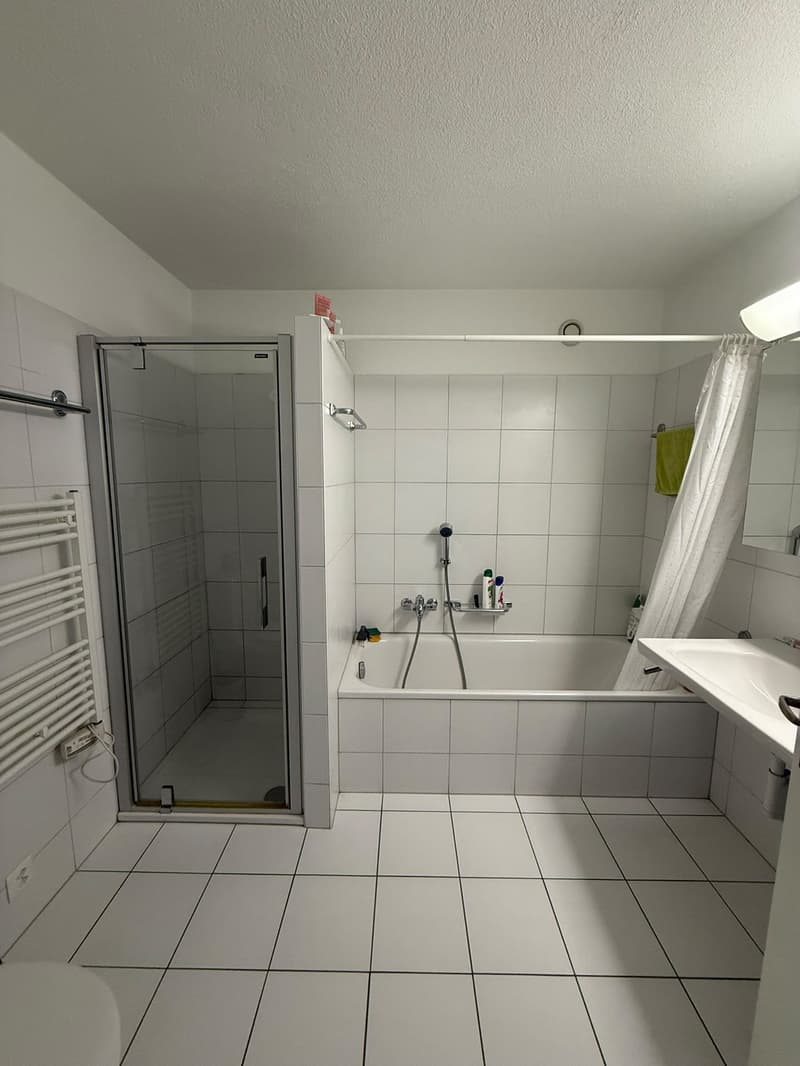 Big Furnished Room in WG in Thalwil (9 mins to HB) (8)