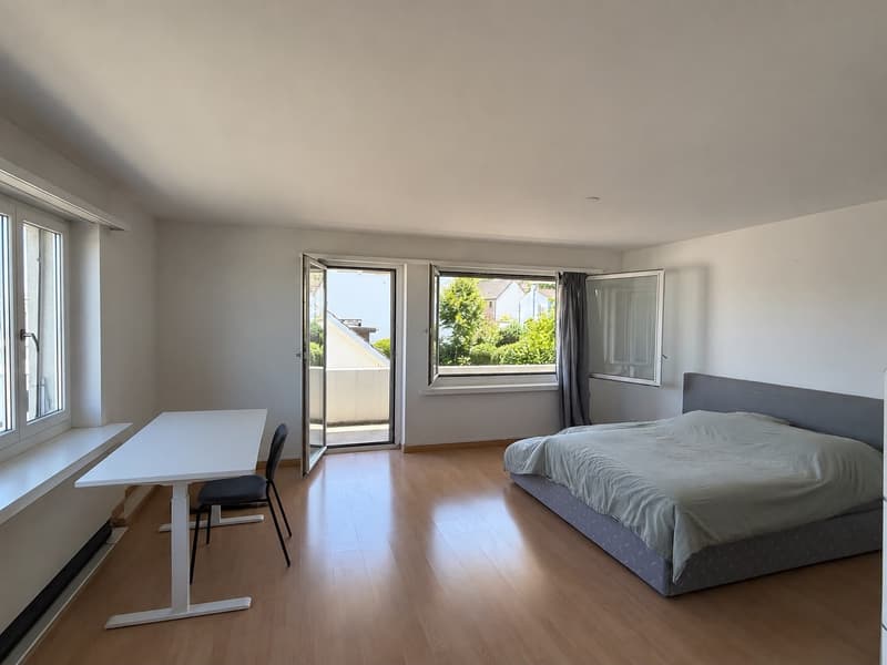 Big Furnished Room in WG in Thalwil (9 mins to HB) (2)