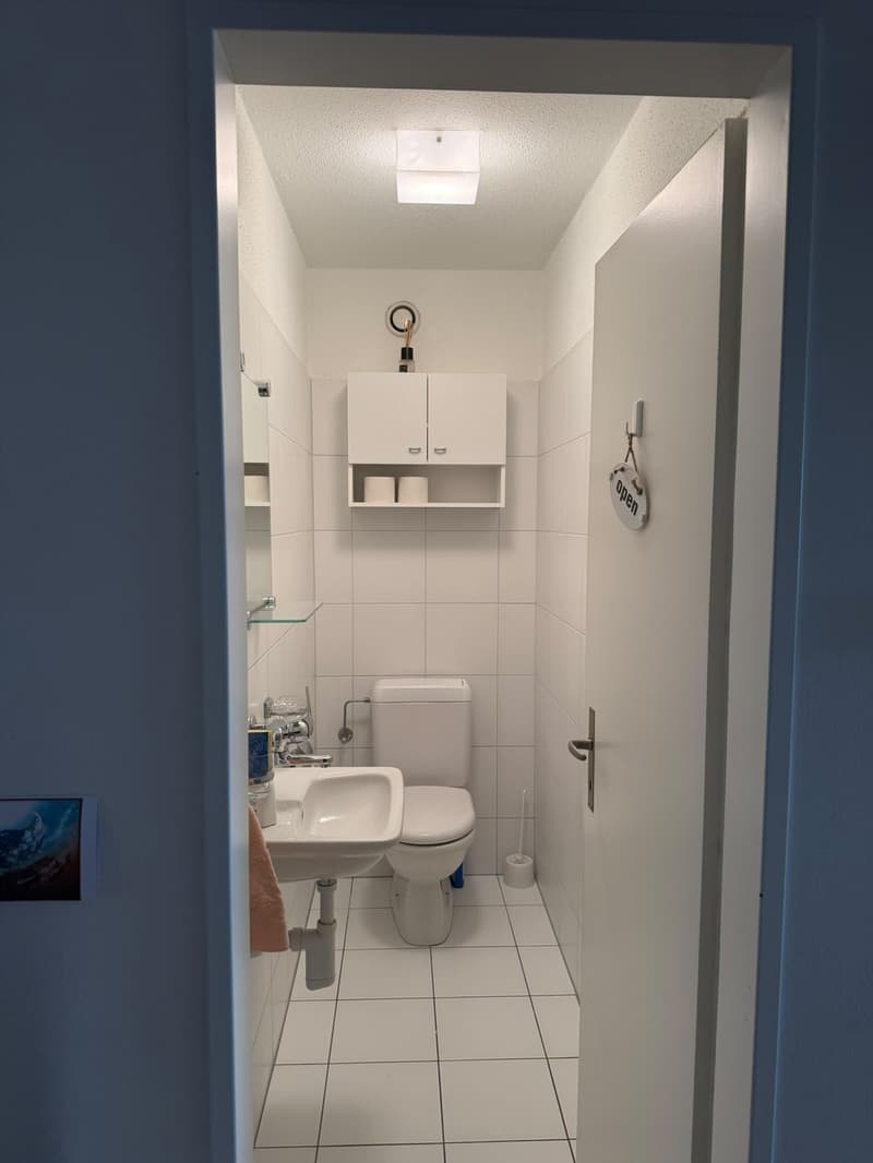 Big Furnished Room in WG in Thalwil (9 mins to HB) (9)