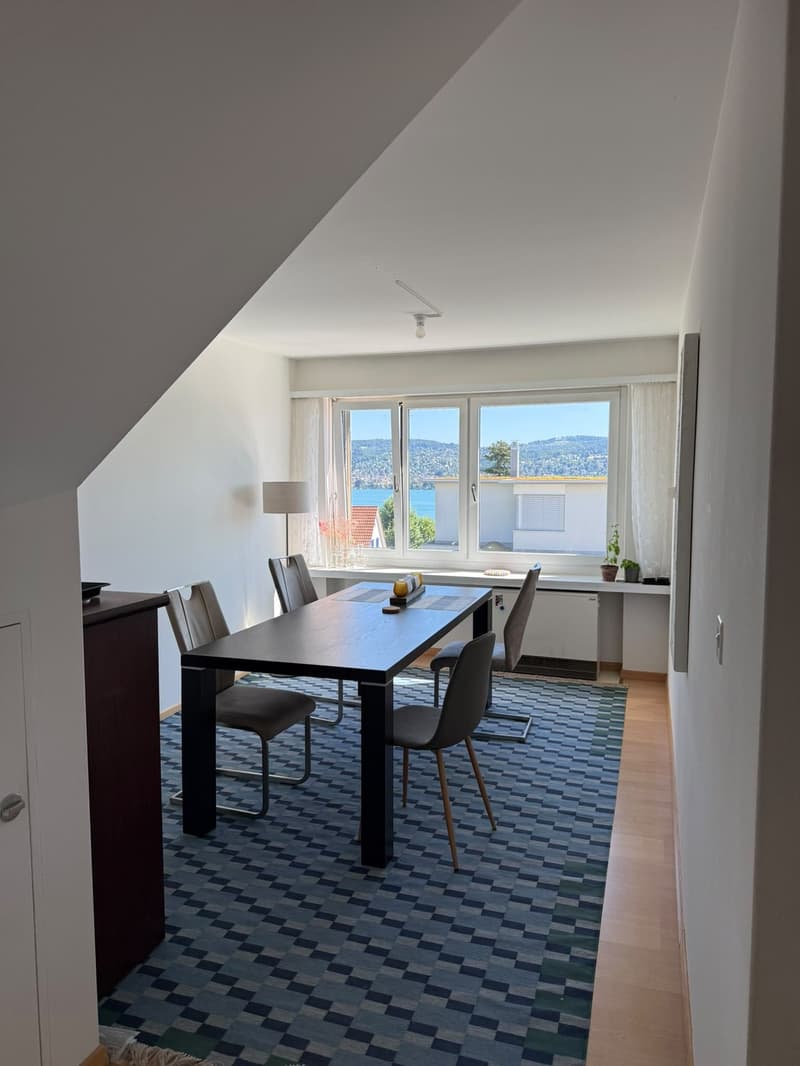 Big Furnished Room in WG in Thalwil (9 mins to HB) (3)