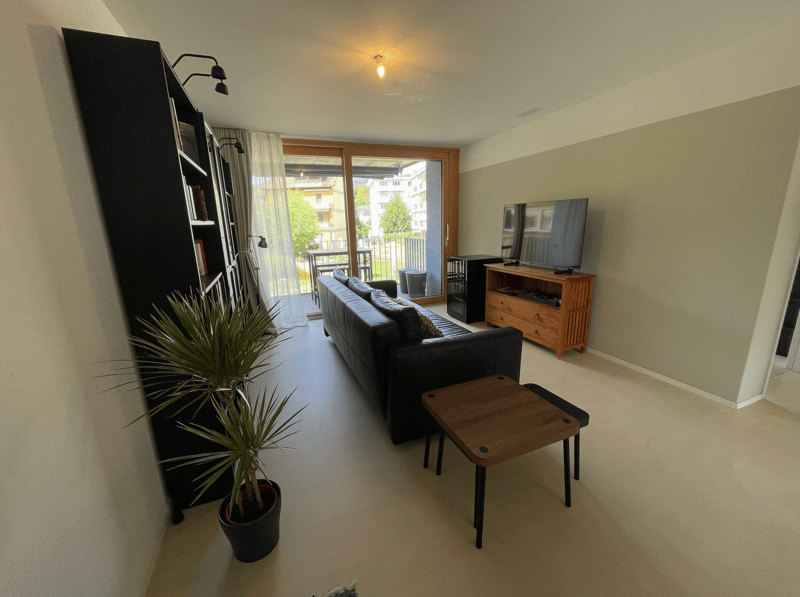3.5 room apartment in Olten (2)