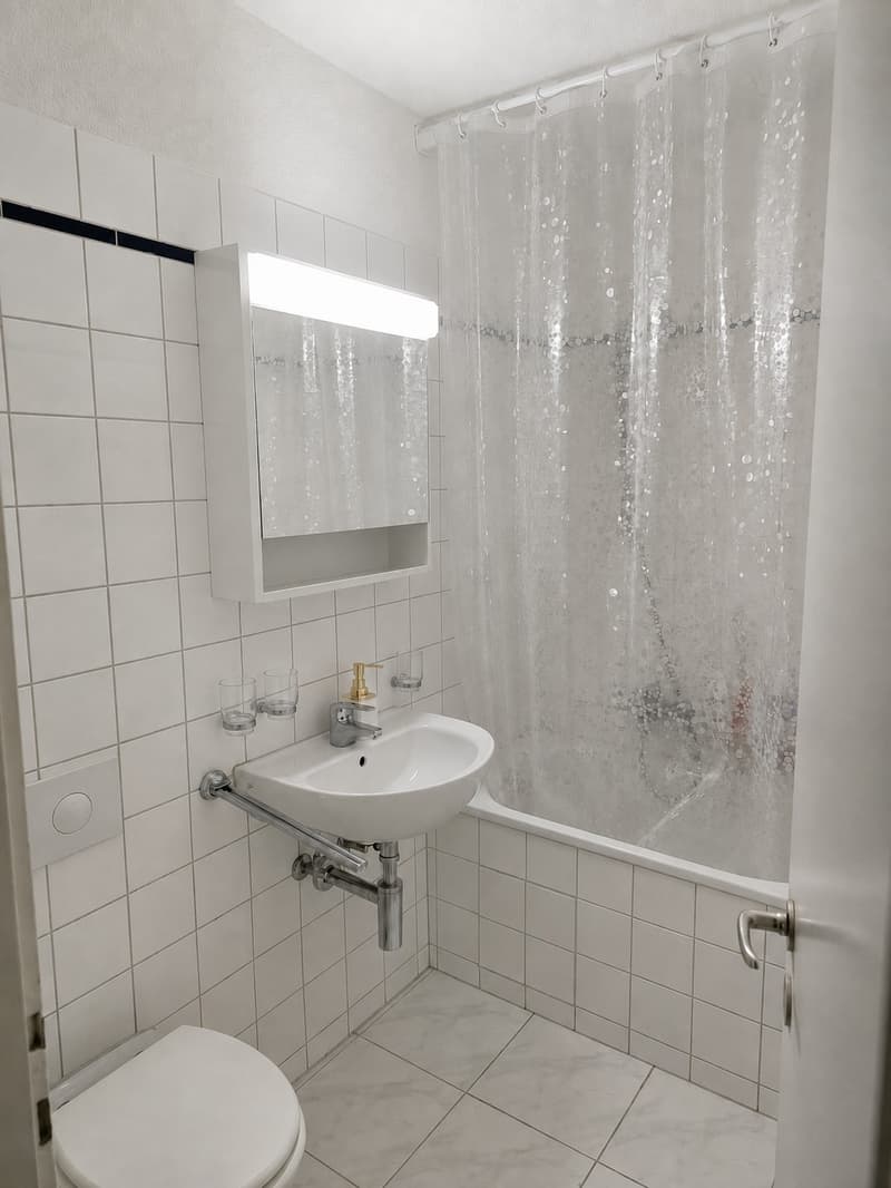 Möbelierte 2.5 Zi.Wohnung in bester Lage (4)
