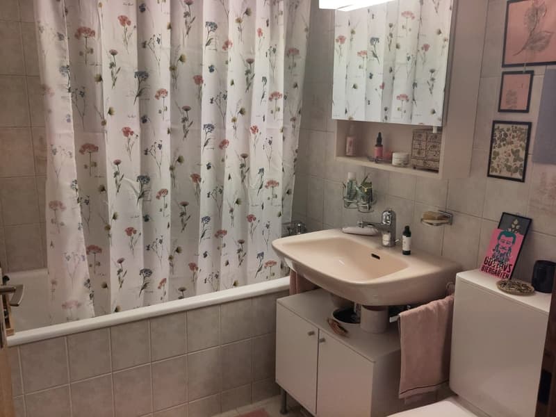 WG Zimmer, 3400 Burgdorf (5)