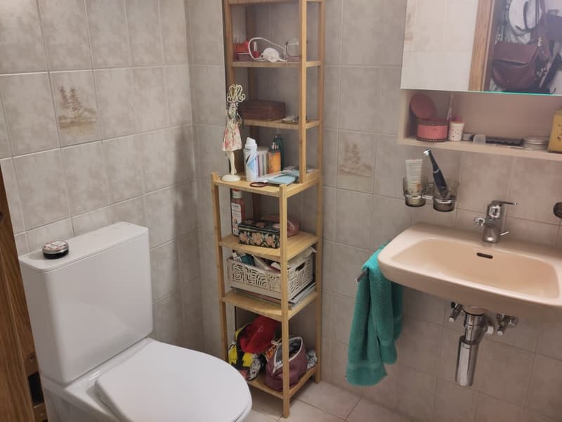 WG Zimmer, 3400 Burgdorf (4)