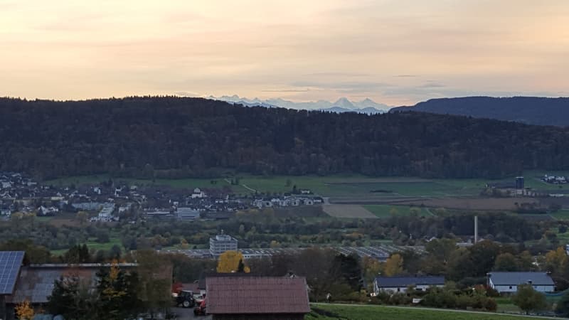 Traumhaftes Wohnen im Grünen:                                             Gemütliche WG mit Wellnessraum & Garten in Boppelsen (10)