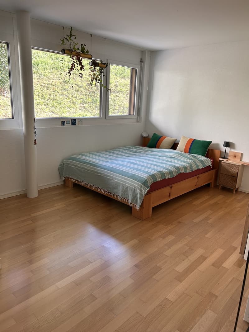 Ruhiges WG-Zimmer im Grünen (3)