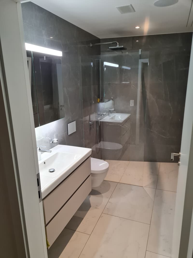 WG-Zimmer Berikon: 25 m² Studio mit eigenem Bad & Terrasse, 1. Monat gratis (3)