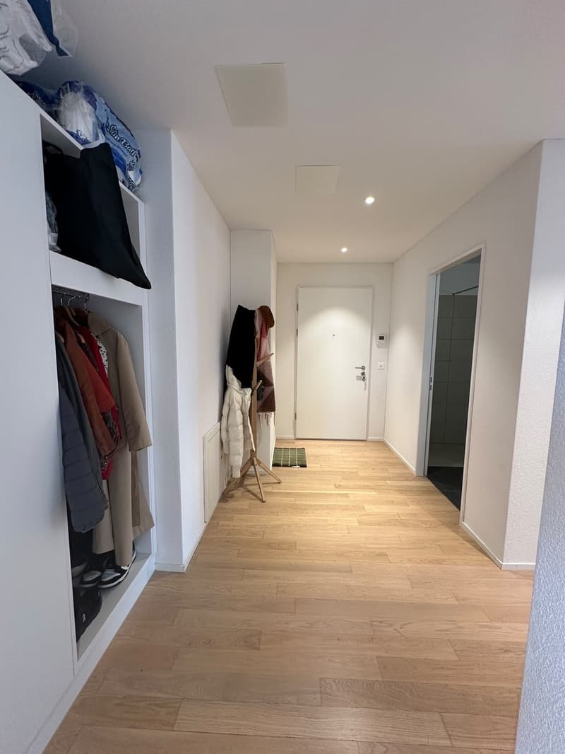 3 ½ rooms apartment, 8957 Spreitenbach (7)