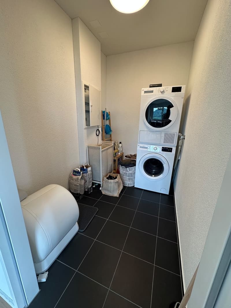 3 ½ rooms apartment, 8957 Spreitenbach (9)