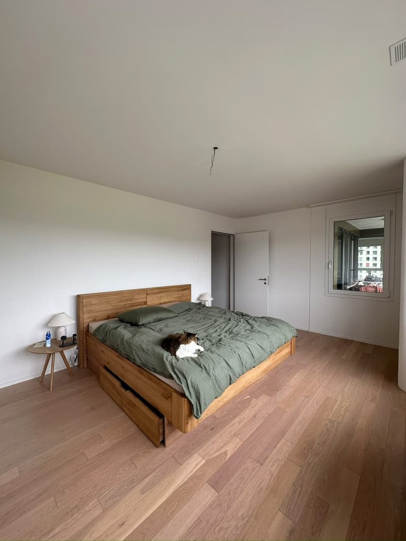 3 ½ rooms apartment, 8957 Spreitenbach (10)