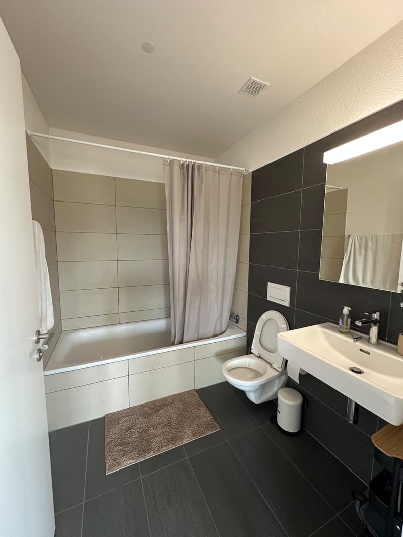 3 ½ rooms apartment, 8957 Spreitenbach (5)