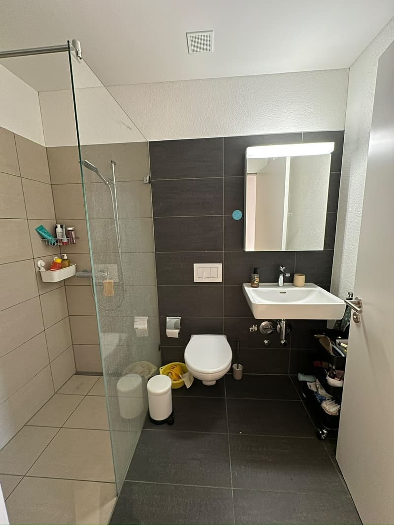 3 ½ rooms apartment, 8957 Spreitenbach (8)