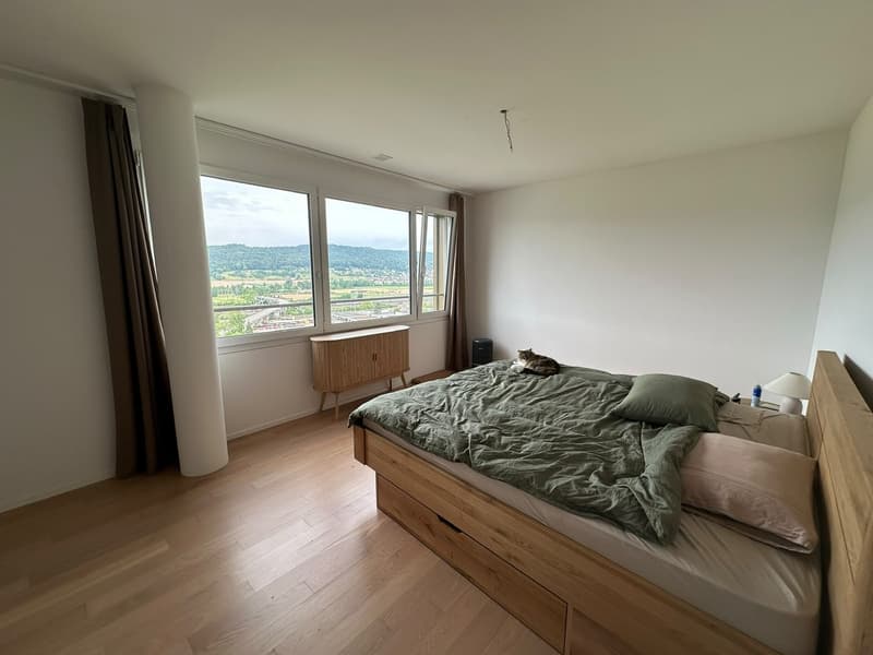 3 ½ rooms apartment, 8957 Spreitenbach (4)