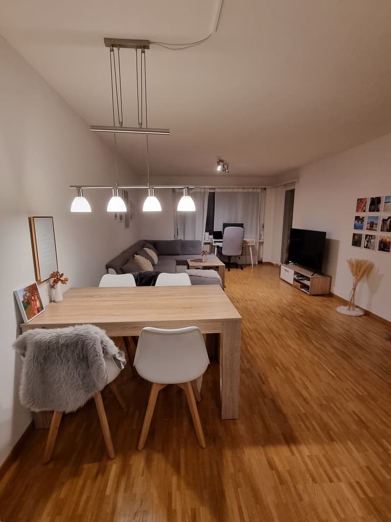 2,5 Zimmerwohnung in Schlieren befristet für 4 Monate zur Untermiete (3)