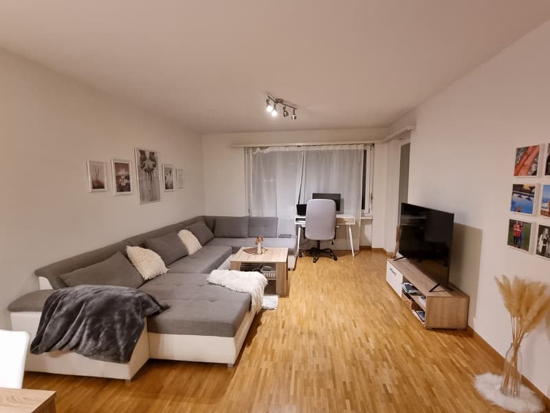 2,5 Zimmerwohnung in Schlieren befristet für 4 Monate zur Untermiete (1)