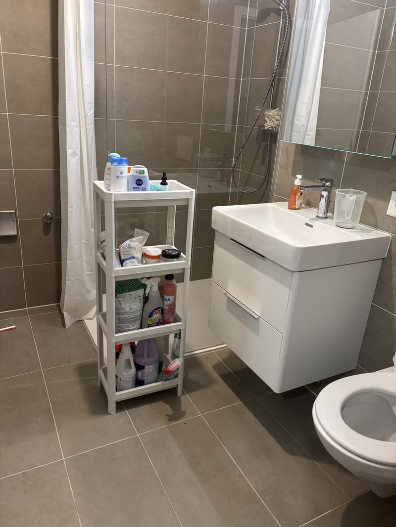 Transfer of lease- 1.5 room (6)