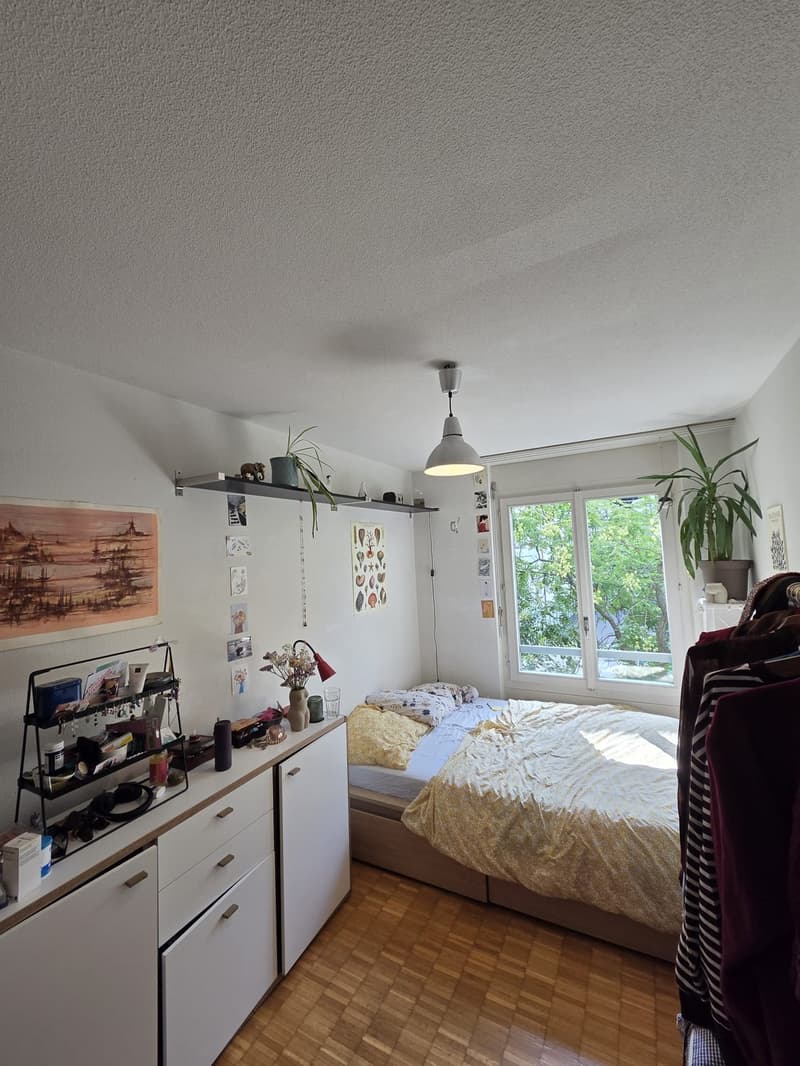 Befristetes WG-Zimmer im Breitsch 6.11 bis zum 28.02 (2)