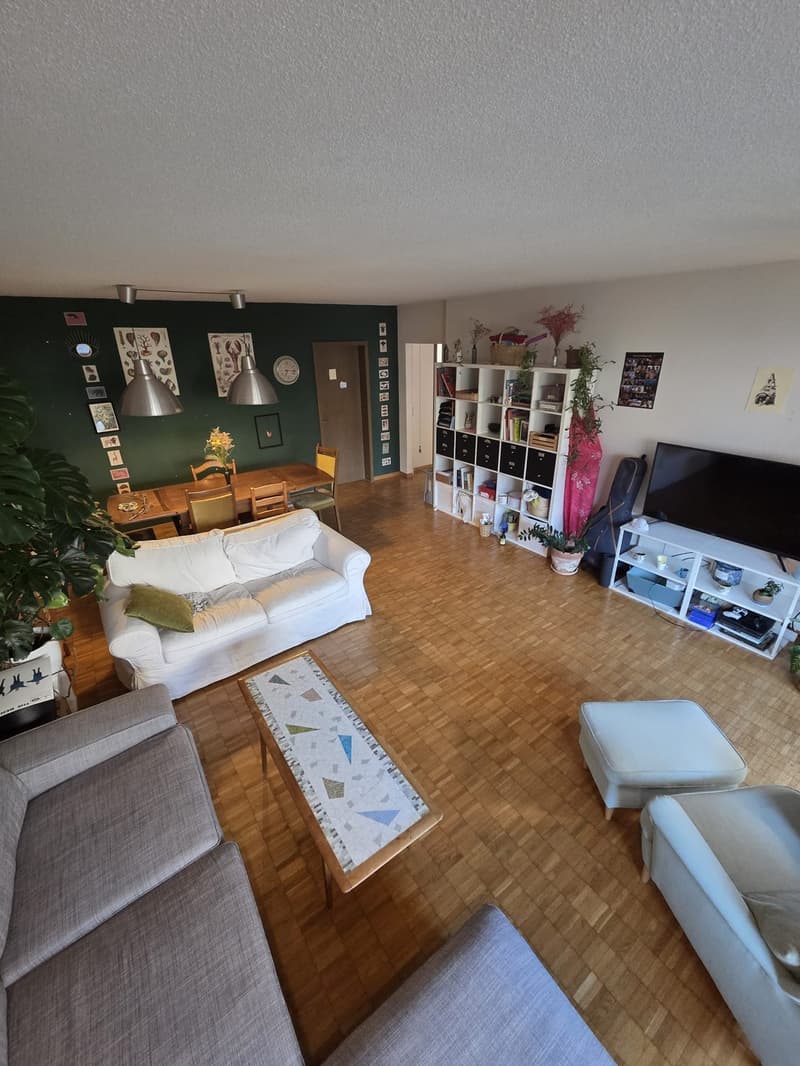 Befristetes WG-Zimmer im Breitsch 6.11 bis zum 28.02 (6)