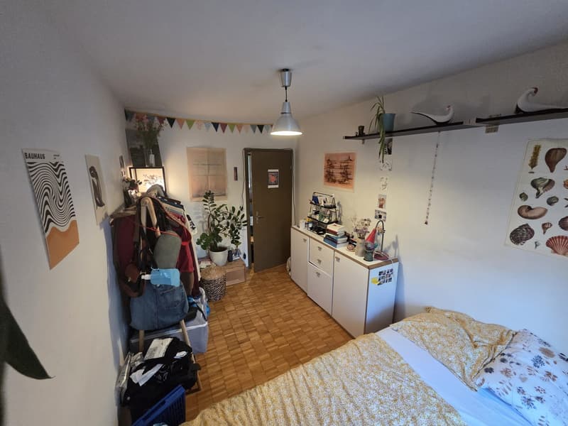 Befristetes WG-Zimmer im Breitsch 6.11 bis zum 28.02 (1)