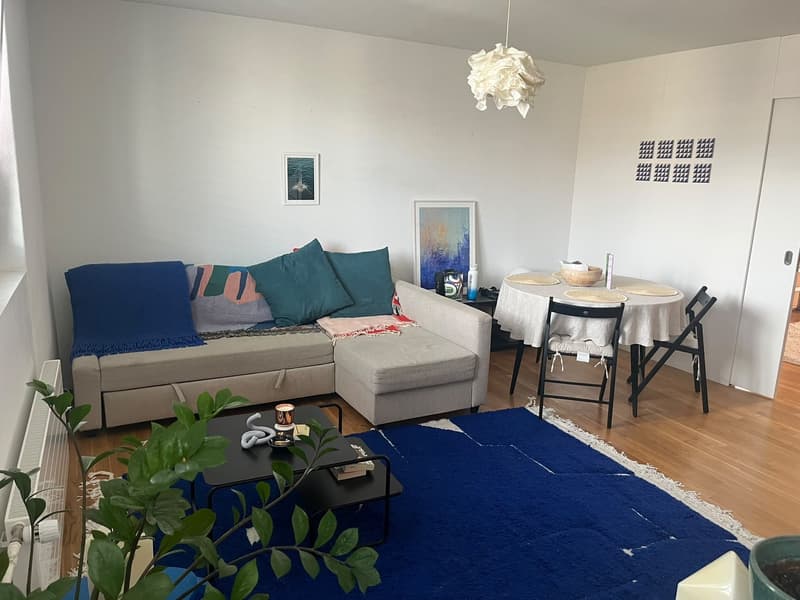 Bright & Spacious Furnished 2.5-Room Apartment in the Heart of Kreis 4 (5)