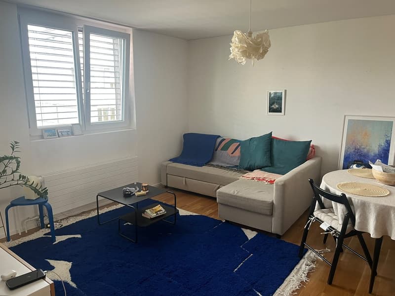 Bright & Spacious Furnished 2.5-Room Apartment in the Heart of Kreis 4 (3)
