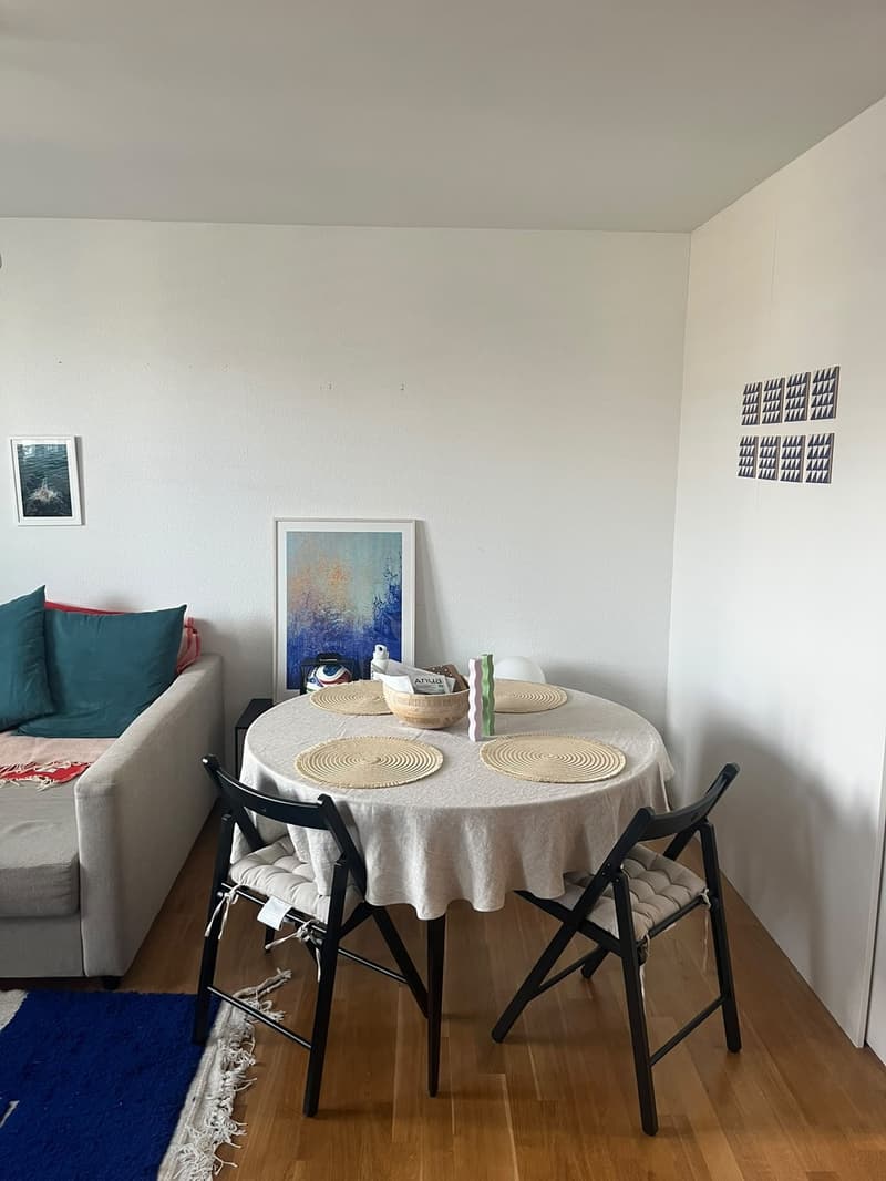 Bright & Spacious Furnished 2.5-Room Apartment in the Heart of Kreis 4 (4)