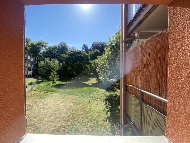 charmante 3 Zimmer Wohnung mit Blick aufs Grüne (10)