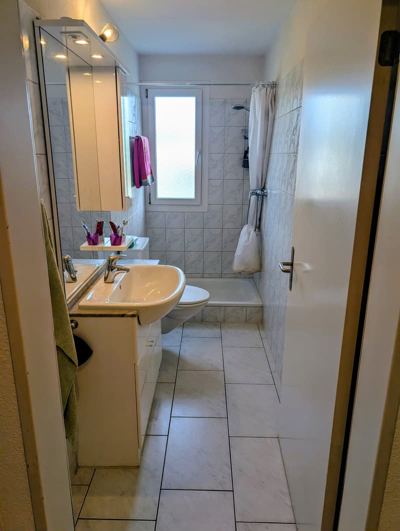 Charmante 5-Zimmer-Maisonette-Wohnung in Wahlen b. Laufen  Ruhige Lage mit schöner Aussicht (12)