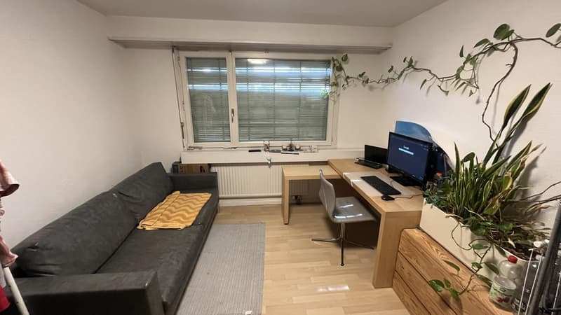WG-Zimmer in Baden - Zentral - (1)