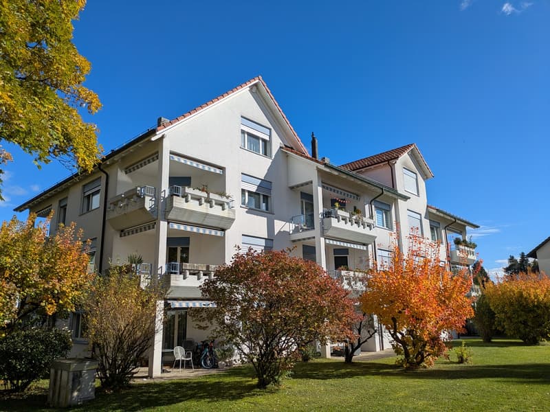Appartamento 2 ½ locali, 8600 Dübendorf (2)