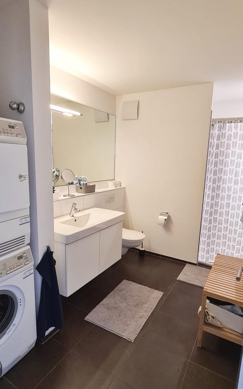Wunderschönes WG-Zimmer im Zentrum von Luzern (5)