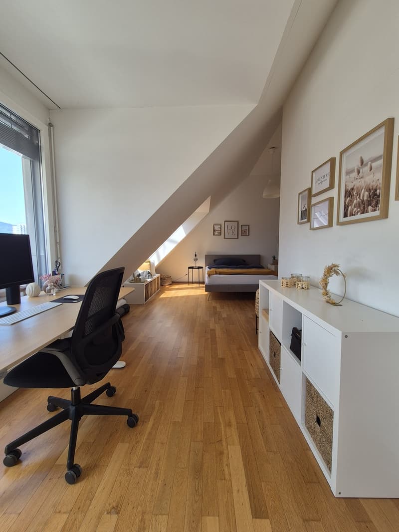 Wunderschönes WG-Zimmer im Zentrum von Luzern (1)
