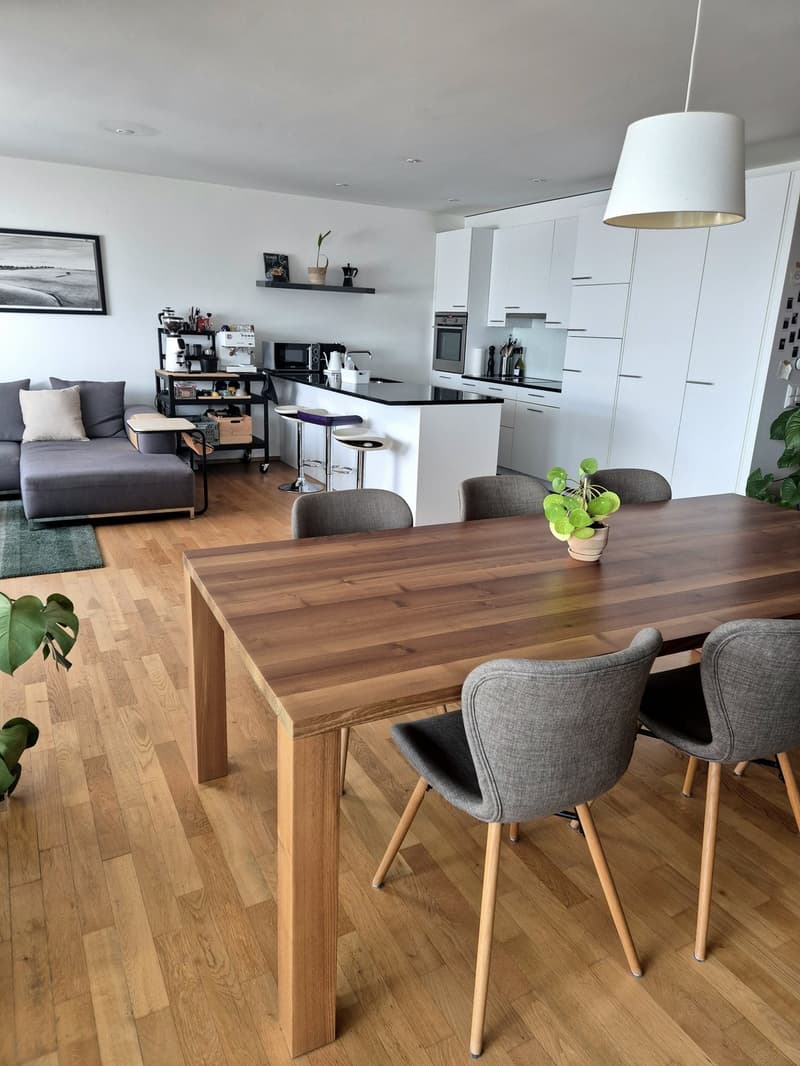 Wunderschönes WG-Zimmer im Zentrum von Luzern (7)