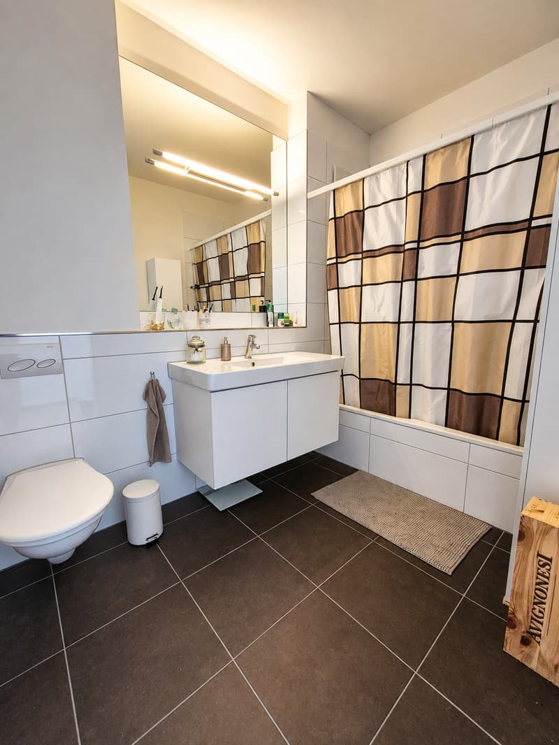 Wunderschönes WG-Zimmer im Zentrum von Luzern (6)