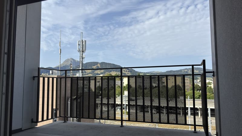 Appartement moderne 2.5 pièces, centre ville, tout équipé, 66m², balcon (4)