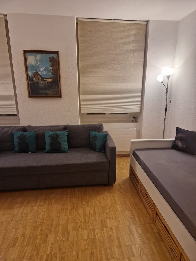 Appartement 1 pièce, 4600 Olten (2)