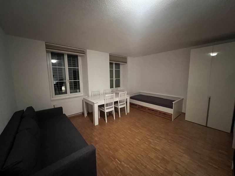 Appartement 1 pièce, 4600 Olten (4)