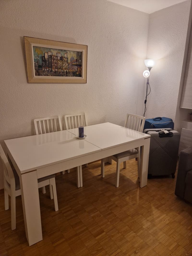 Appartement 1 pièce, 4600 Olten (3)