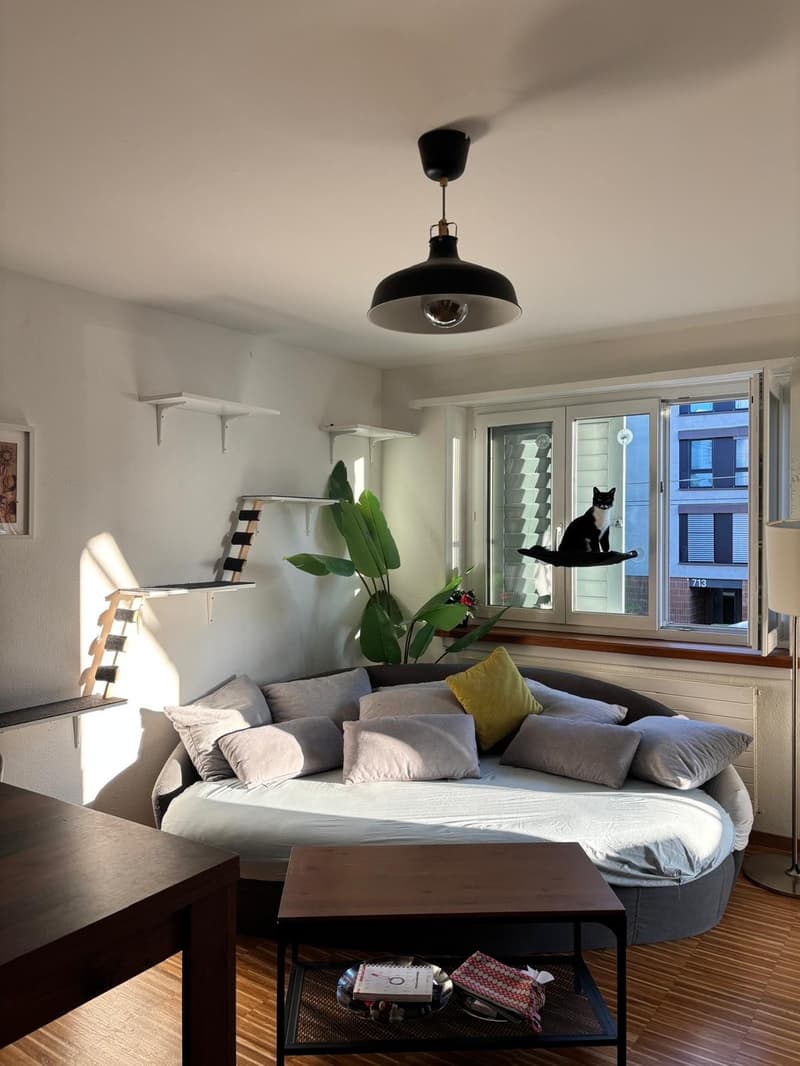 3.5-Zimmer-Wohnung in Zürich Altstetten zu vermieten (1)