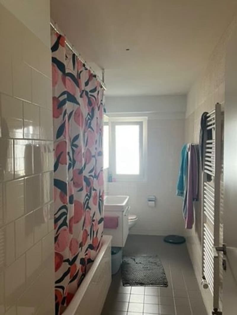 3.5-Zimmer-Wohnung in Zürich Altstetten zu vermieten (5)