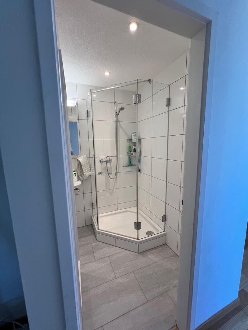 4.5-room apartment in Zollikerberg (9)
