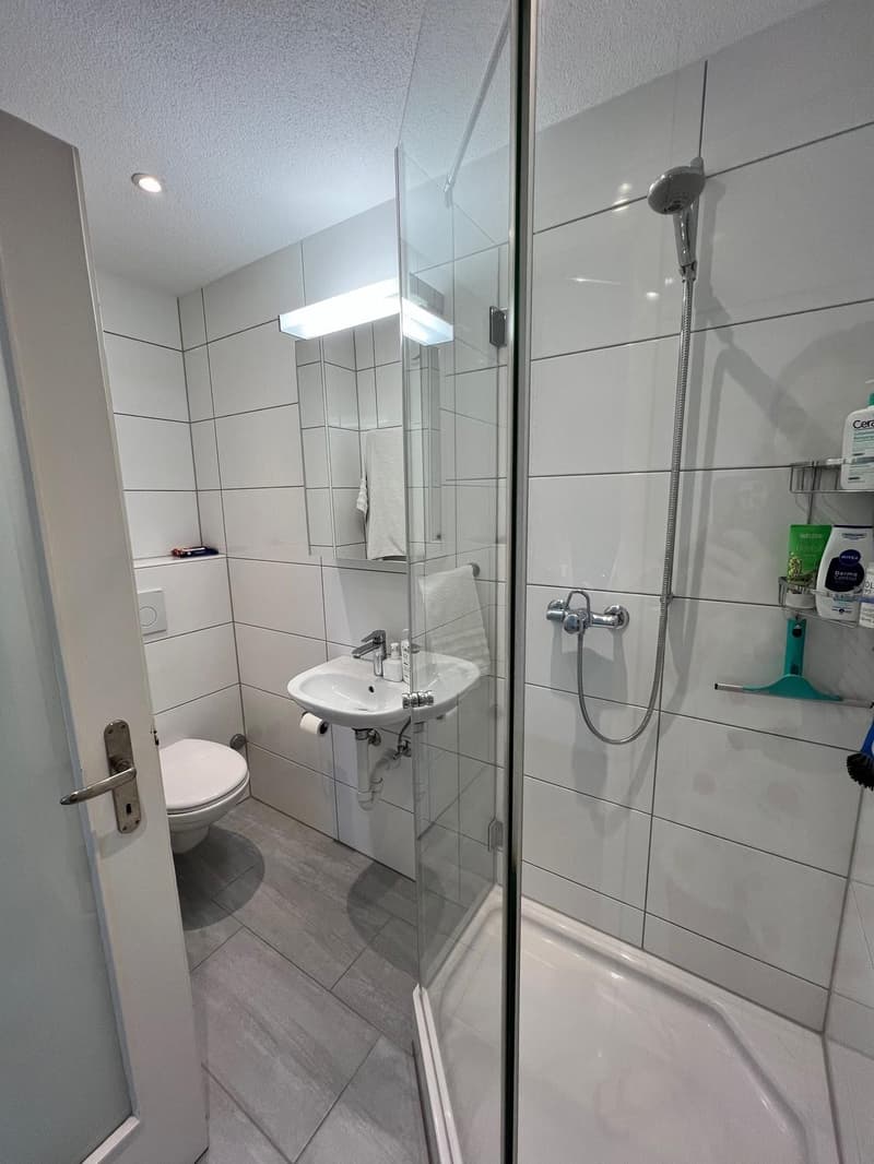 4.5-room apartment in Zollikerberg (10)