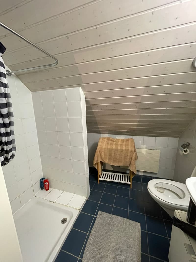 Chambre disponible en colocation - Genève centre, à partir du 01/09/2026 (4)