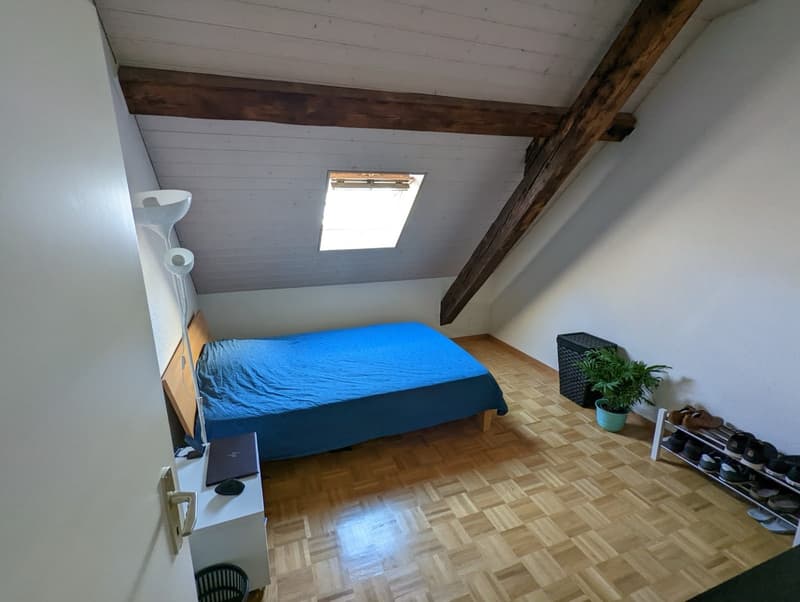 Chambre disponible en colocation - Genève centre, à partir du 01/09/2026 (5)