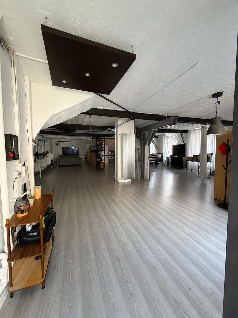 Loft de 200 m2 au rez-de-chaussée (3)