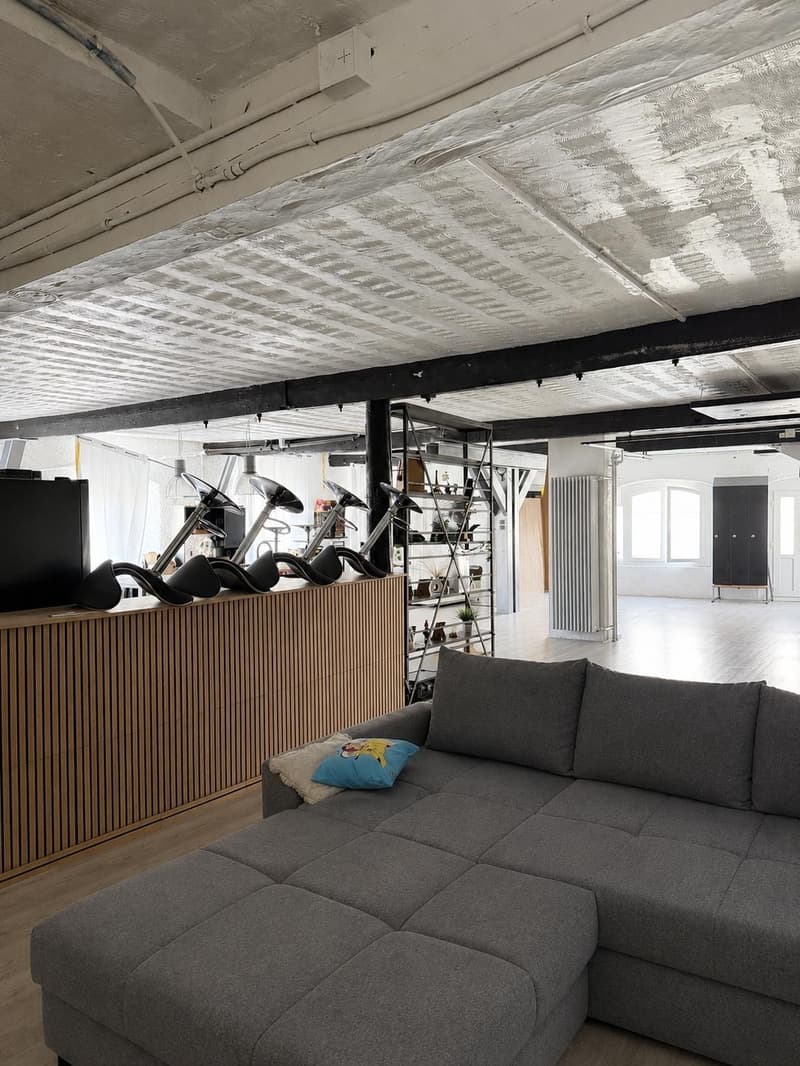 Loft de 200 m2 au rez-de-chaussée (4)