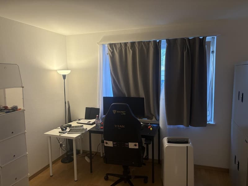 Gemütliche 3-Zimmer-Wohnung im Erdgeschoss an der Baslerstrasse, Zürich (3)